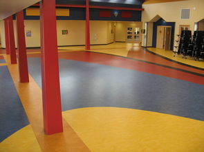 供应电影院塑胶地板,平铺塑胶地板,舒适的地板